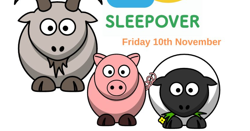 Charity Link Sleepover - Staff team