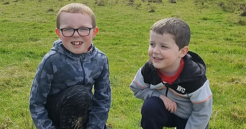 Josh & Harvey's Walk