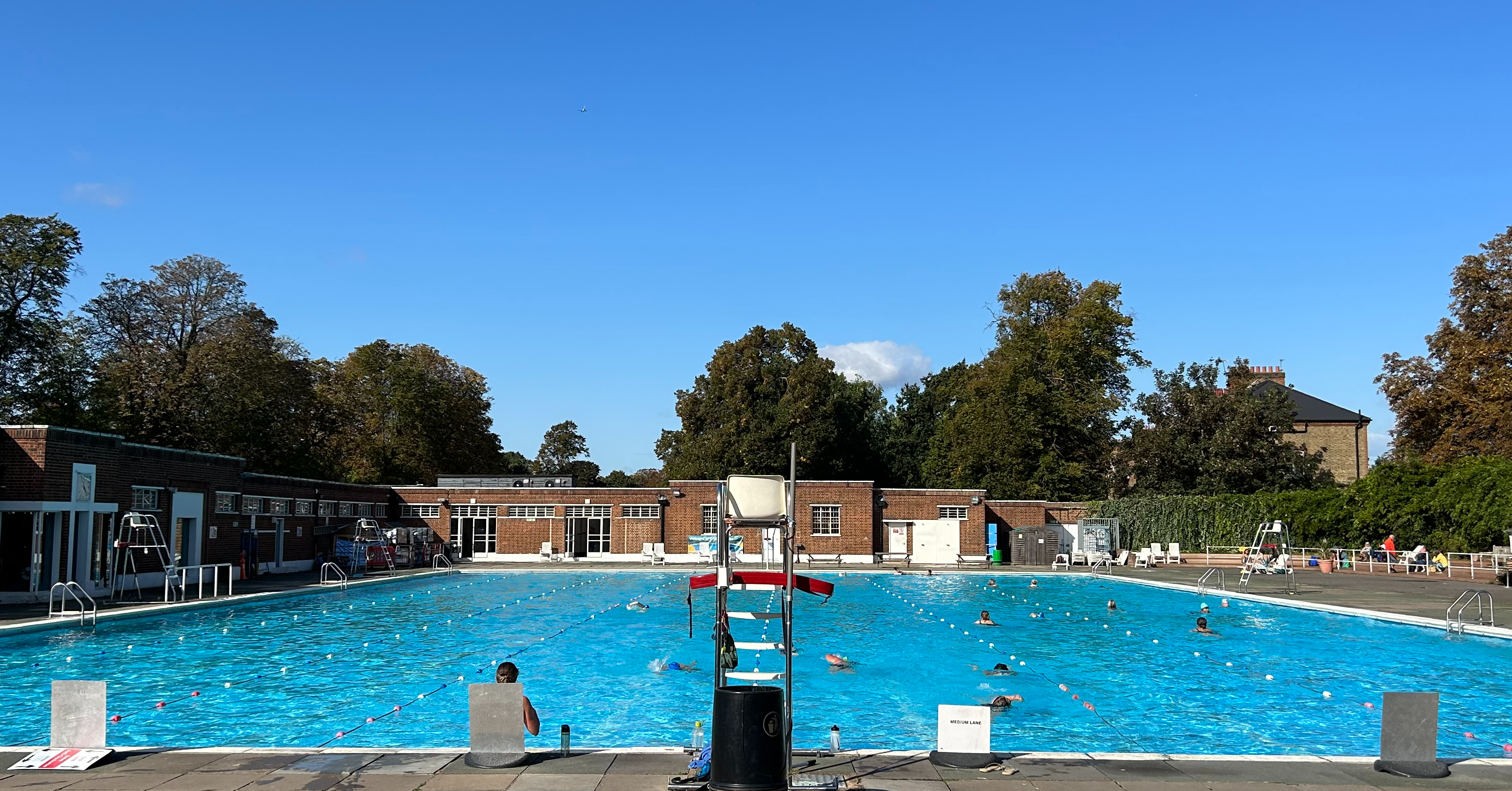 Woody Winter Swim