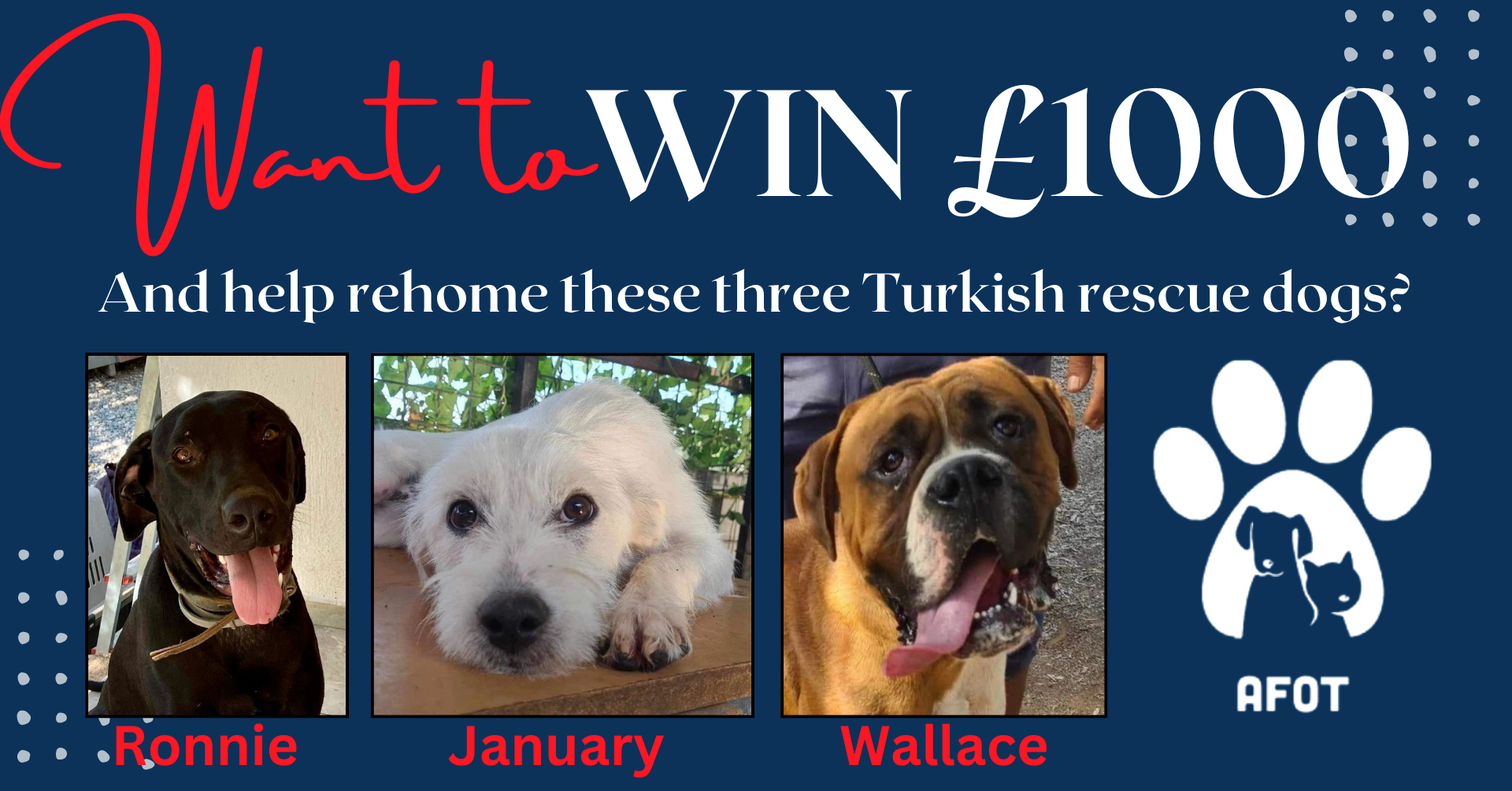 WIN £1000