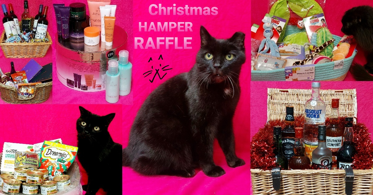 Feline Care Christmas Raffle