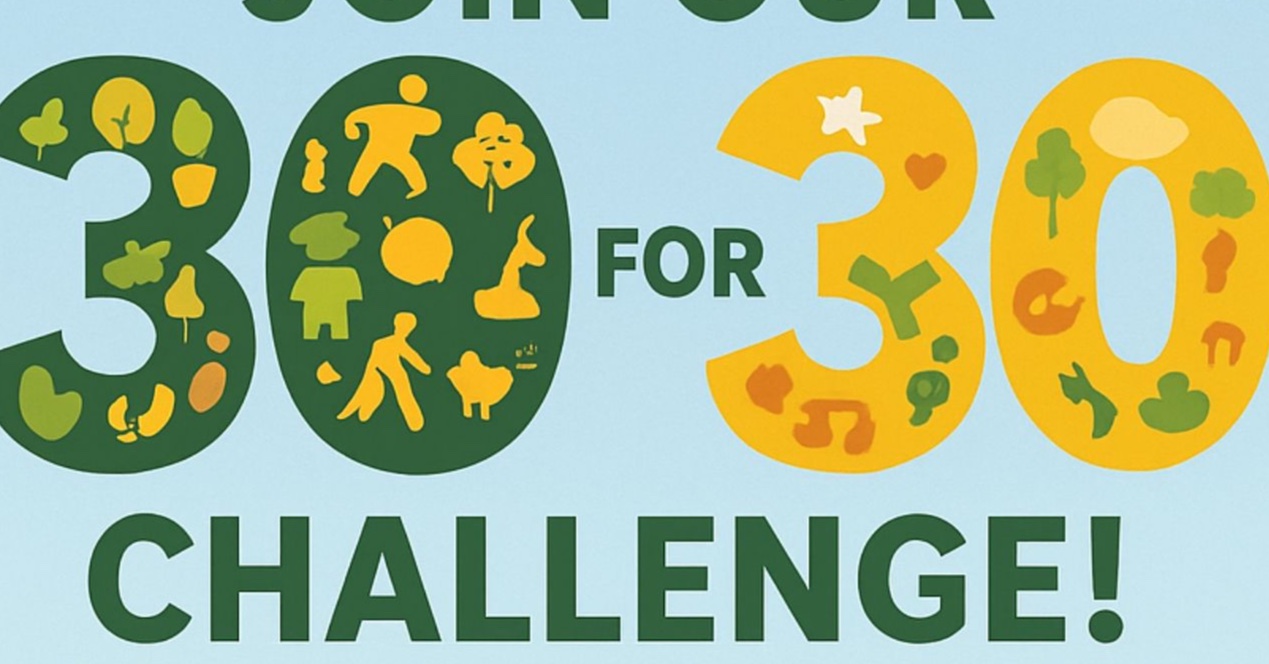 30 for 30 Challenge