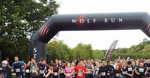 Pat's Winter Wolf Run