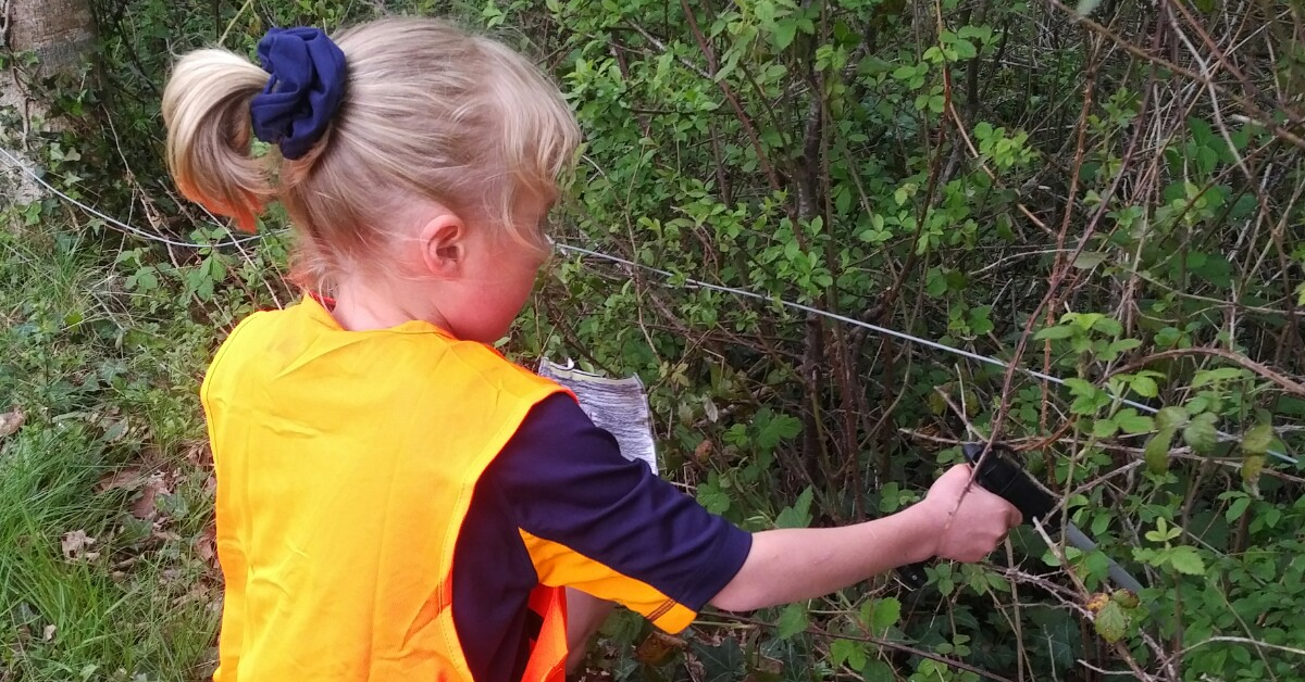 Litter picking challenge