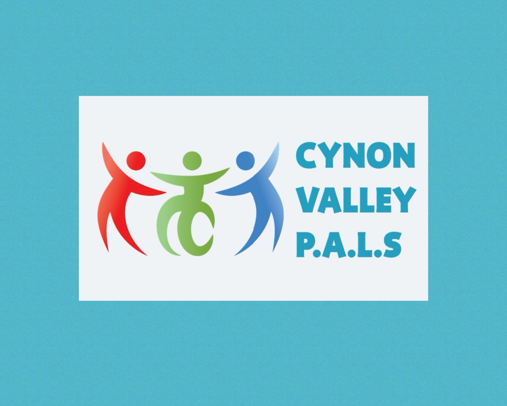 CYNON VALLEY P.A.L.S. PLAY AND LEISURE FOR CHILDREN WITH DISABILITIES