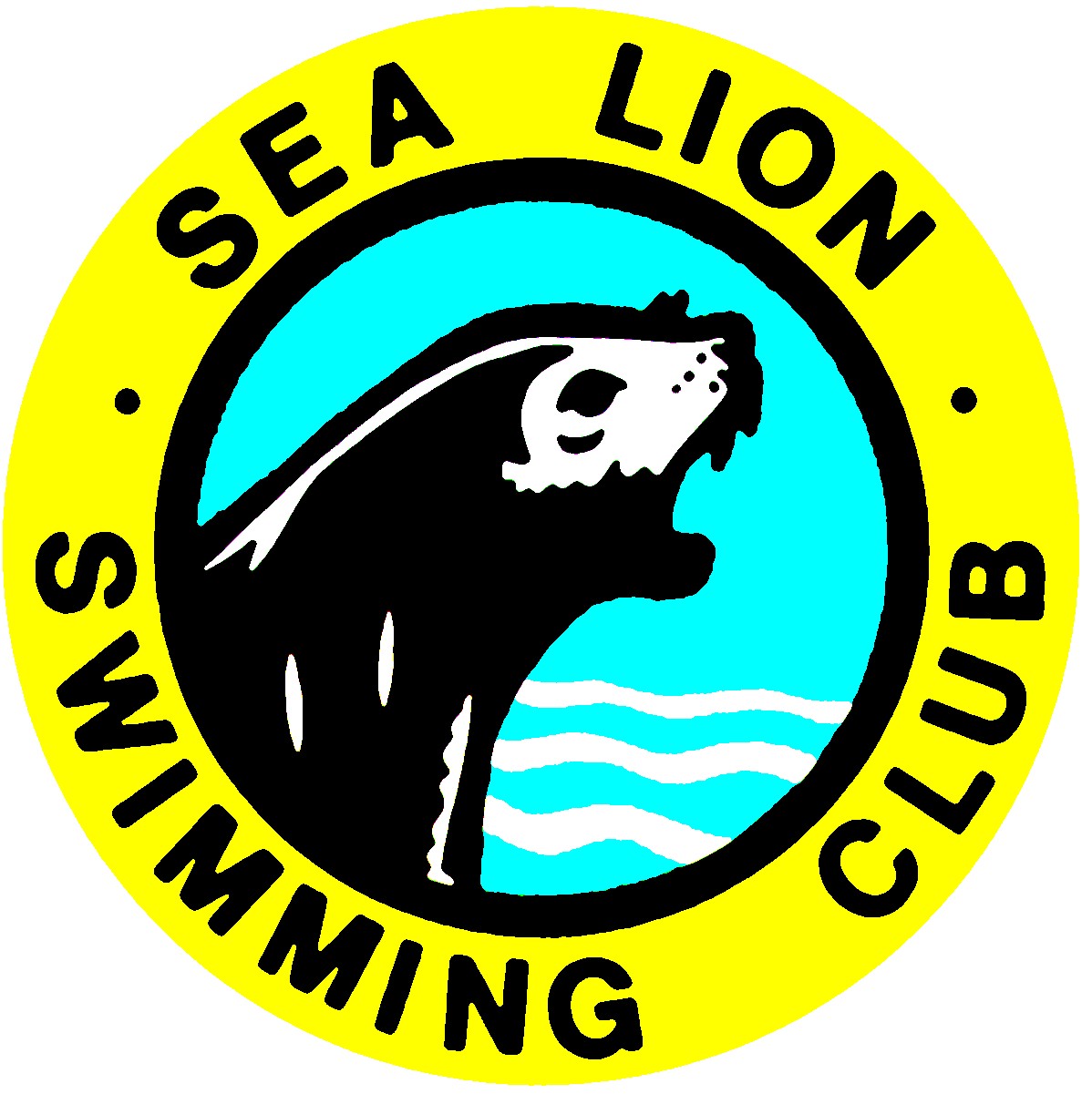 SEA LION SWIMMING CLUB