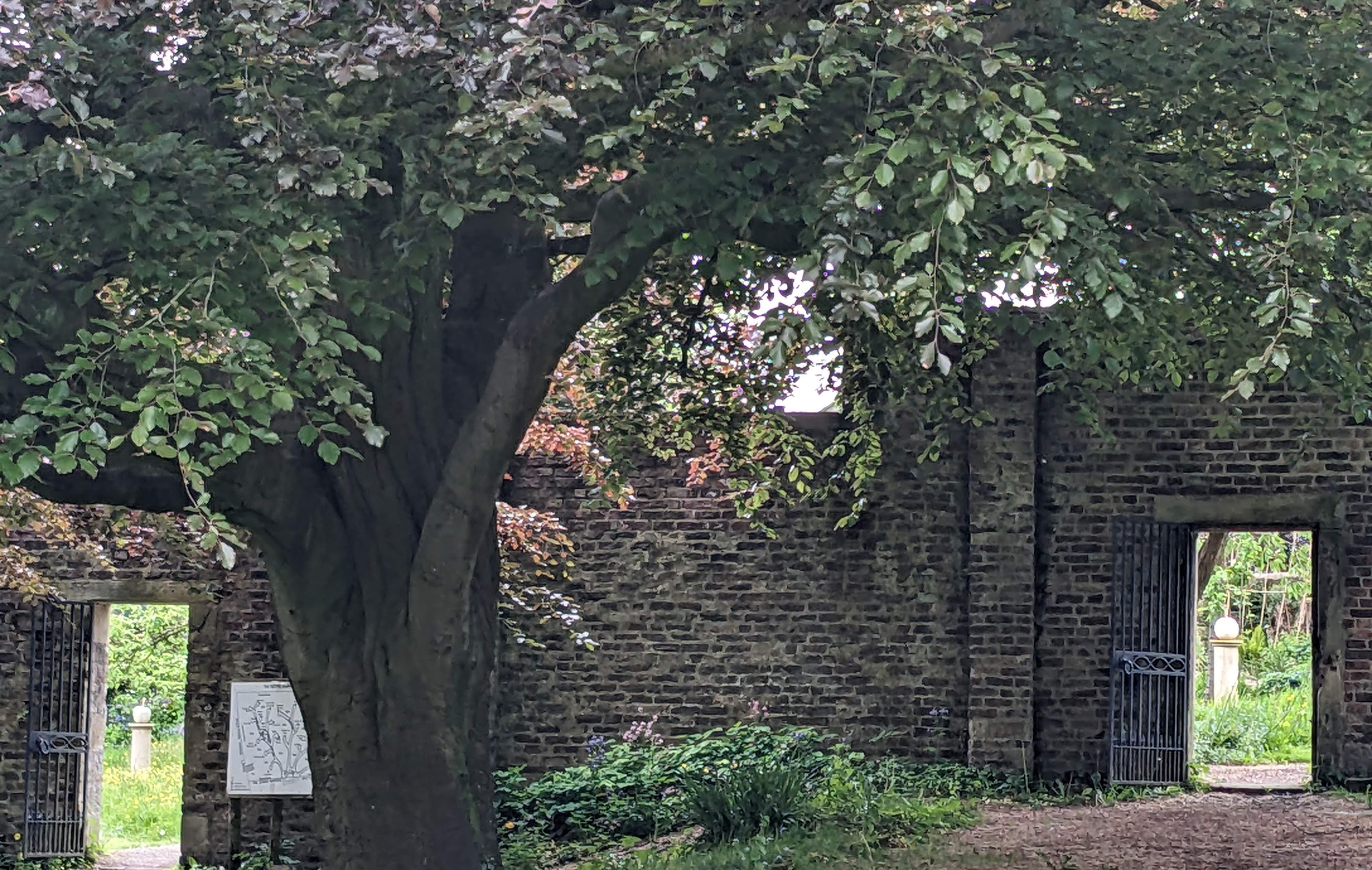 FRIENDS OF THE STOREY GARDENS