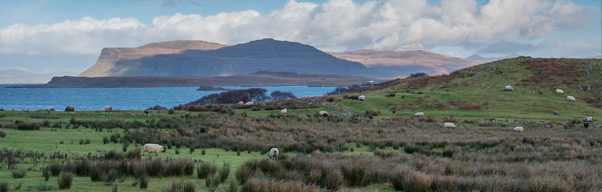 Ross Of Mull Historical Centre (SCIO)
