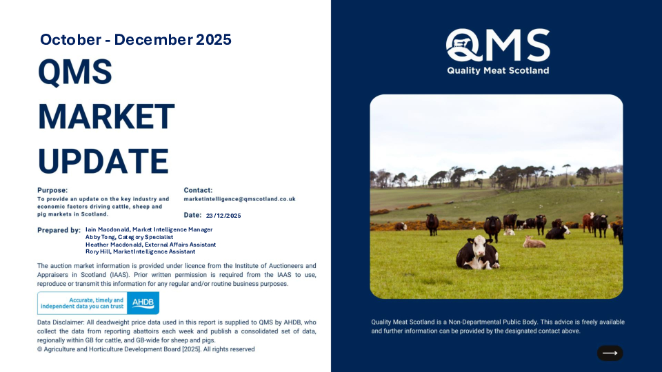 Market Update - September - October 2025