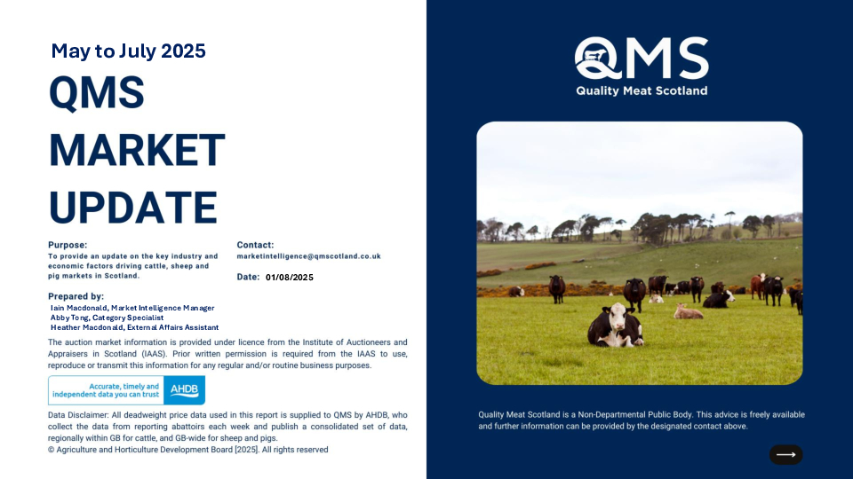 Monthly market update May June 2025