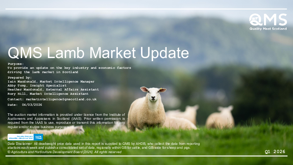 QMS Lamb Market Update Q1 2026