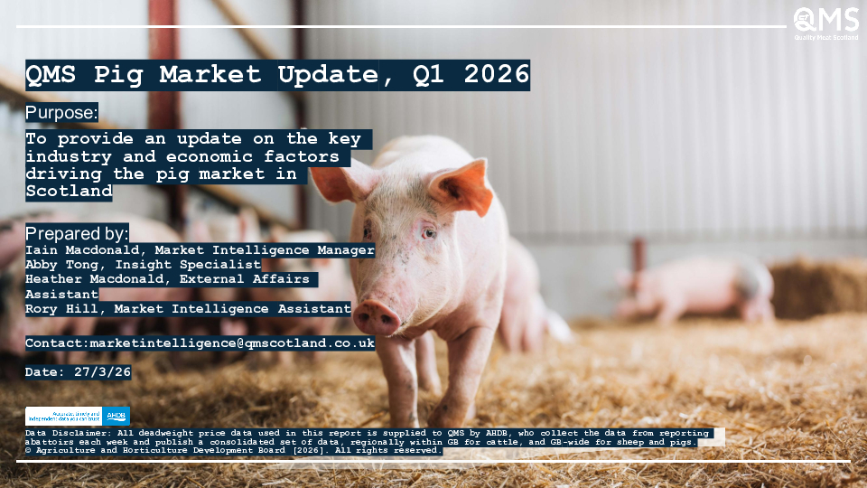 QMS Pig Market Update Q1 2026