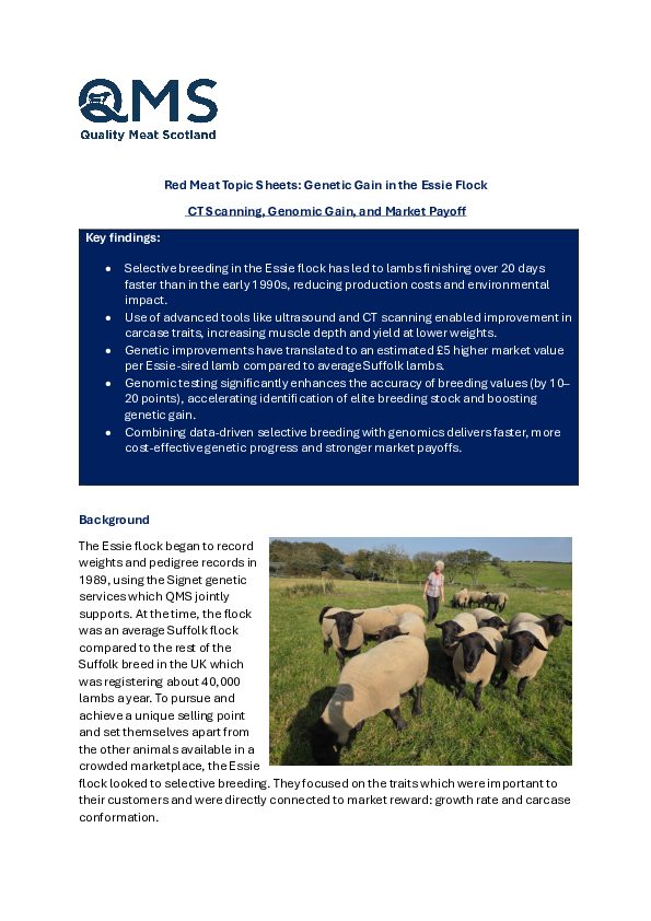 Topic Sheet Genetic Gain in the Essie Flock
