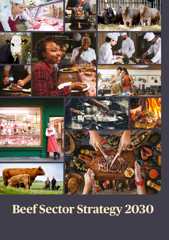 Beef Sector Strategy 2030