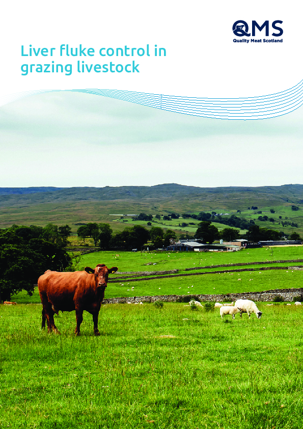 Liver Fluke Control in Grazing Livestock
