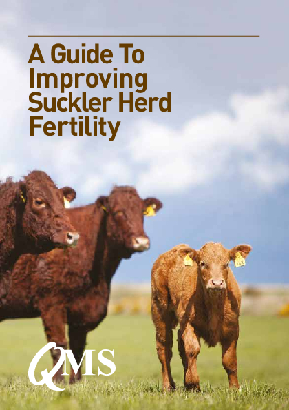 QMS A Guide to improving Suckler Herd Fertility
