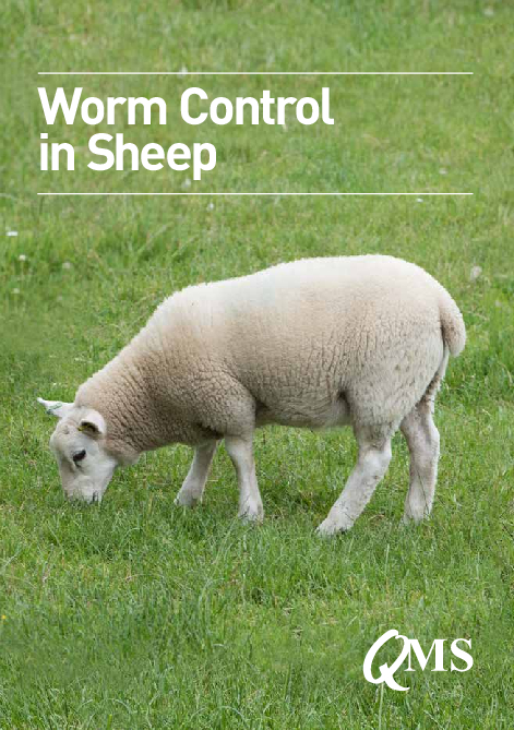 QMS Worm Control in Sheep guide