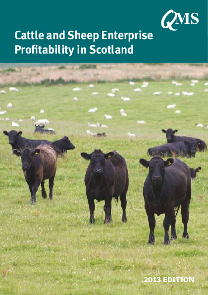QMS Cattle and Sheep Enterprise Profitability 2013