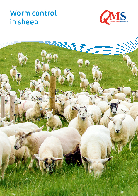 QMS Sheep Worm Control Guide