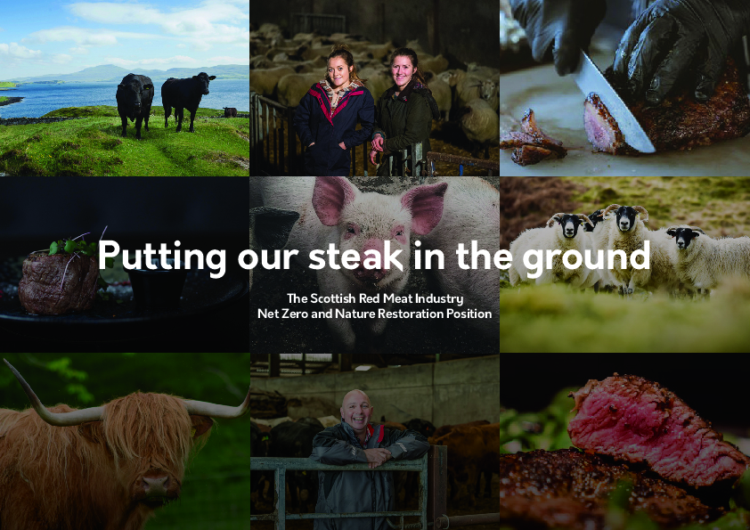 Putting our steak in the ground