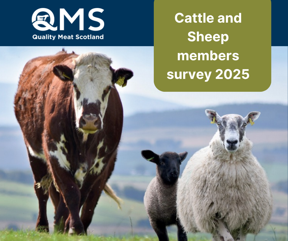 Cattle and Sheep members survey 2025