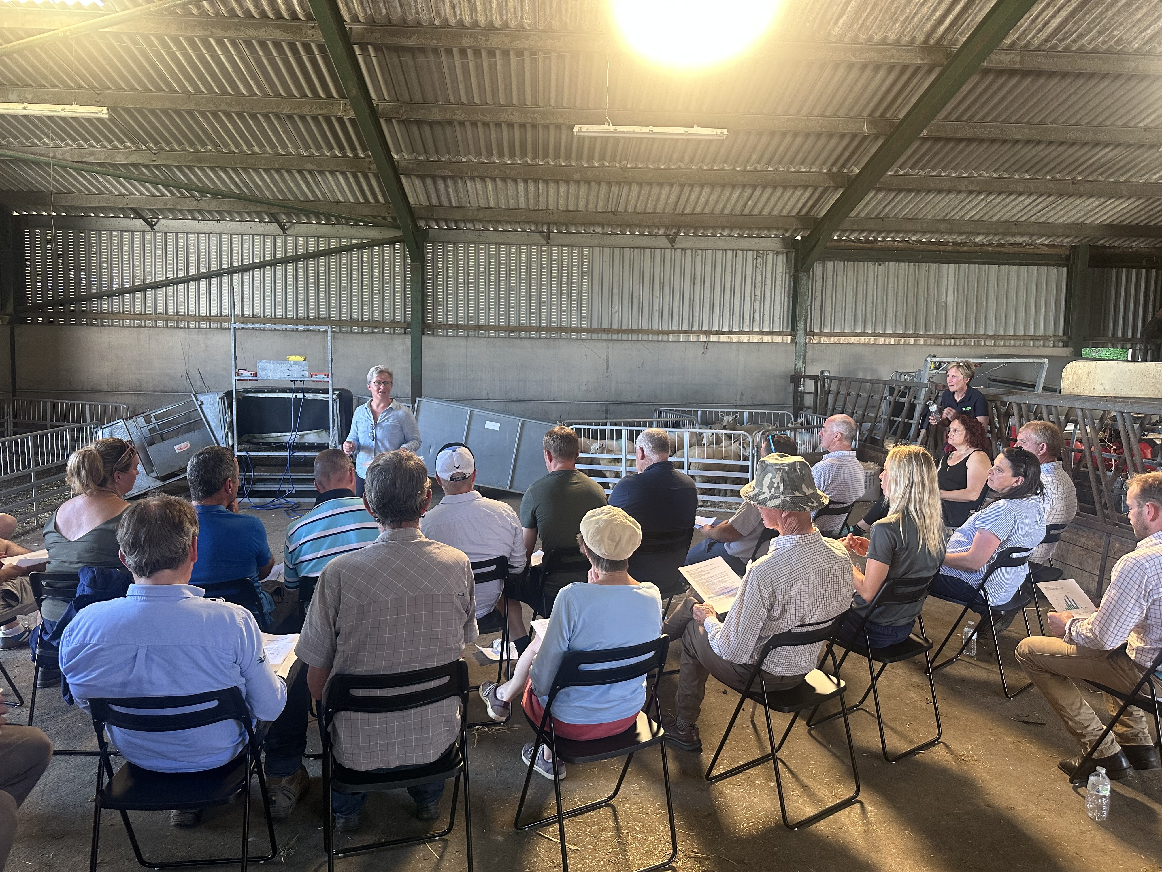 Emily Grant discusses weaning at the Stirlingshire Monitor Farm summer meeting