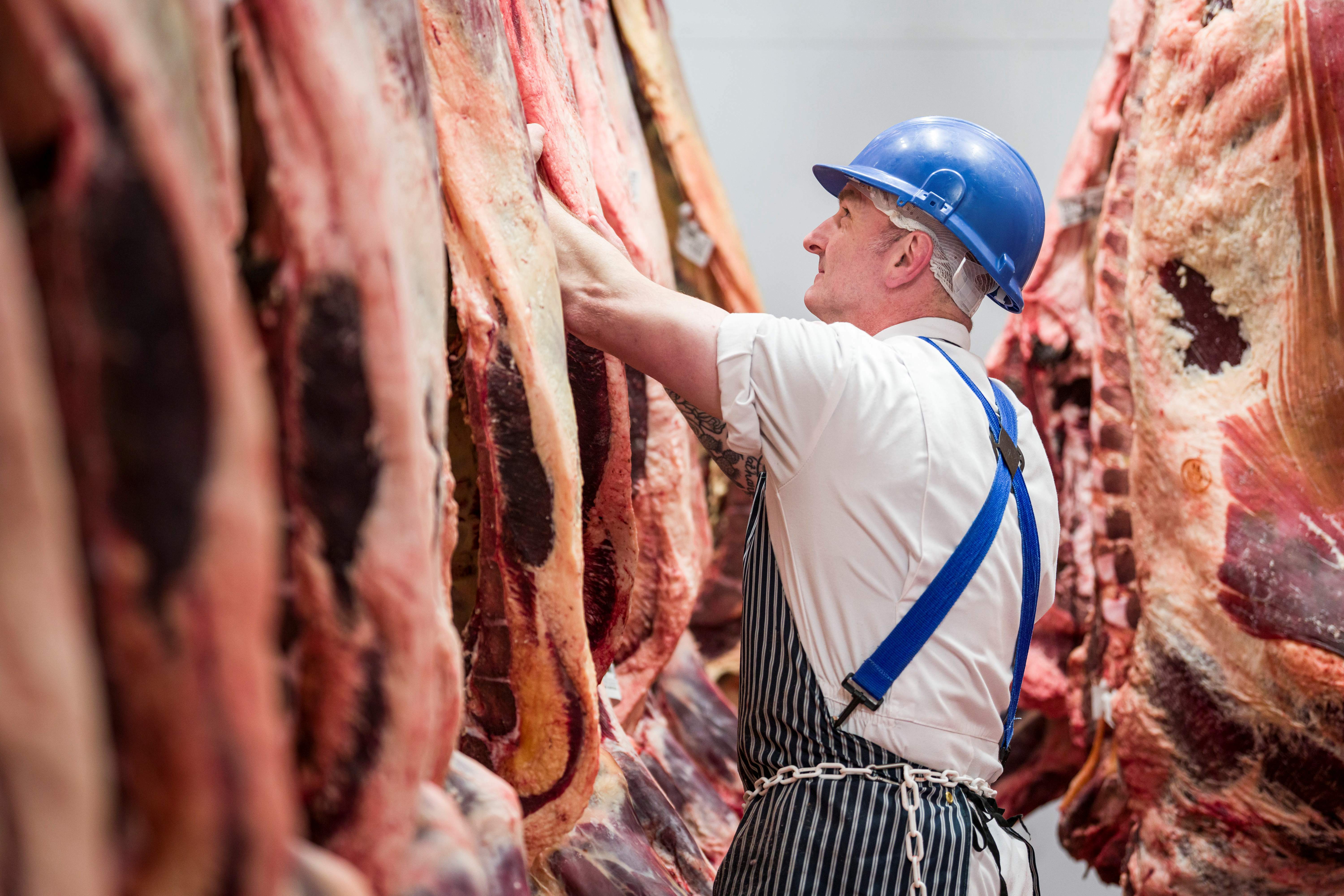 Meat the Market