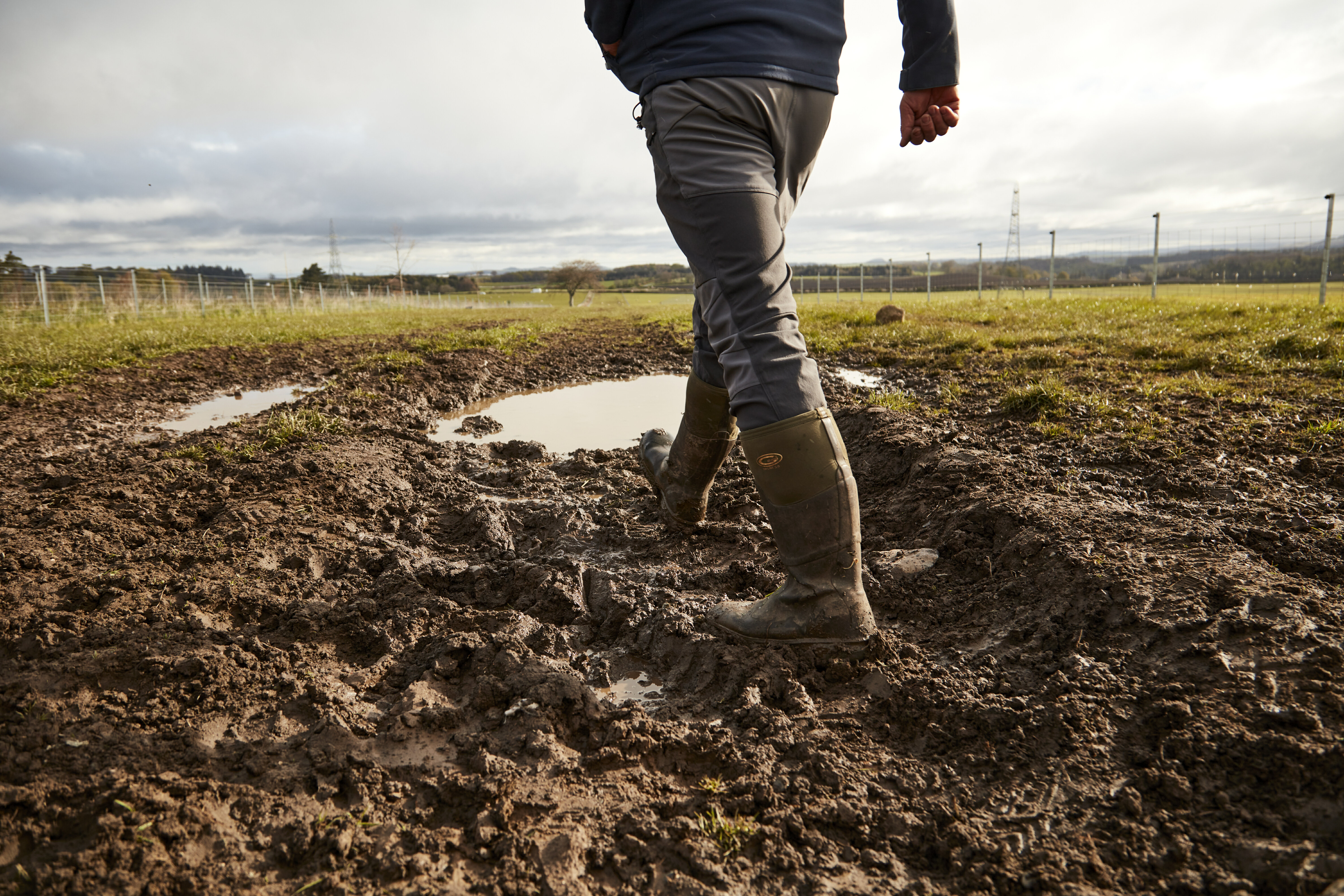 New research shows strong potential to attract fresh talent into Scotlands red meat sector