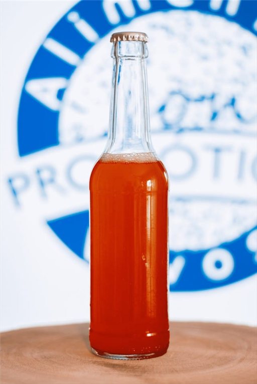 Kombucha fermentada en arándanos y naranja