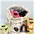 Pack sabor a verano-detalle
