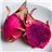 Pitahaya (2 ud.)-detalle