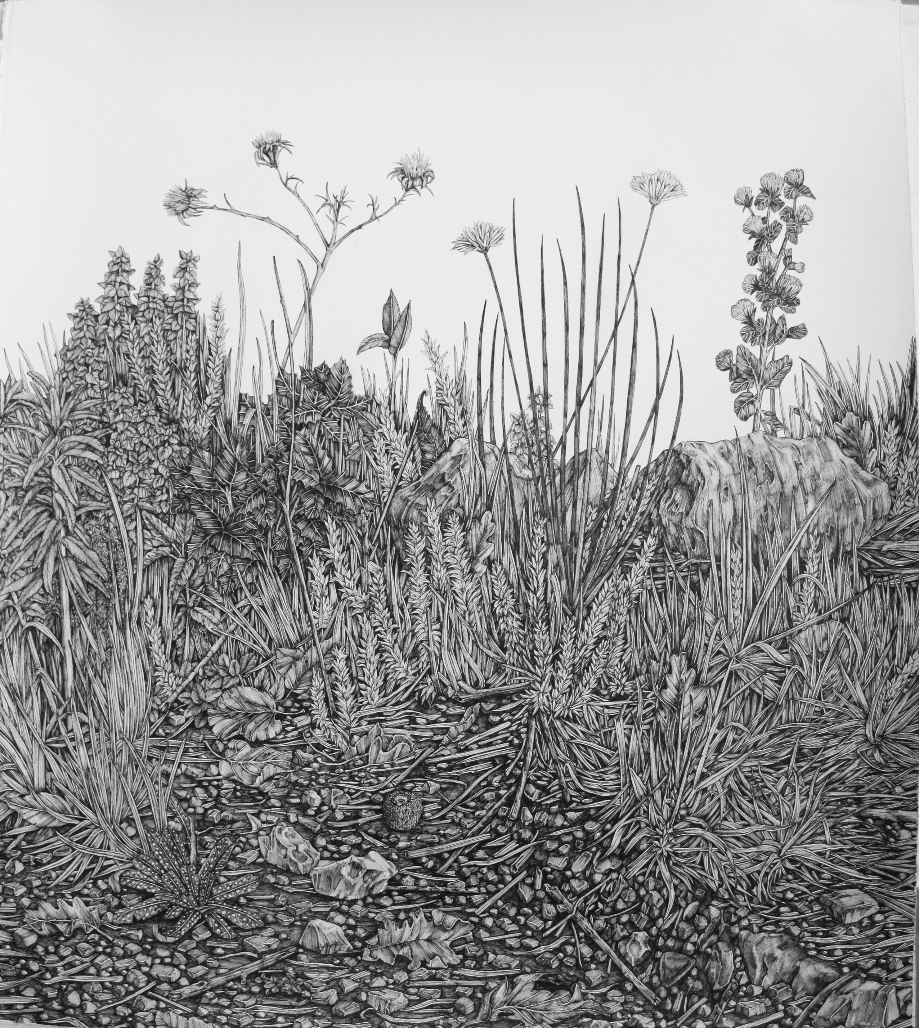 Lying In Field And Lane