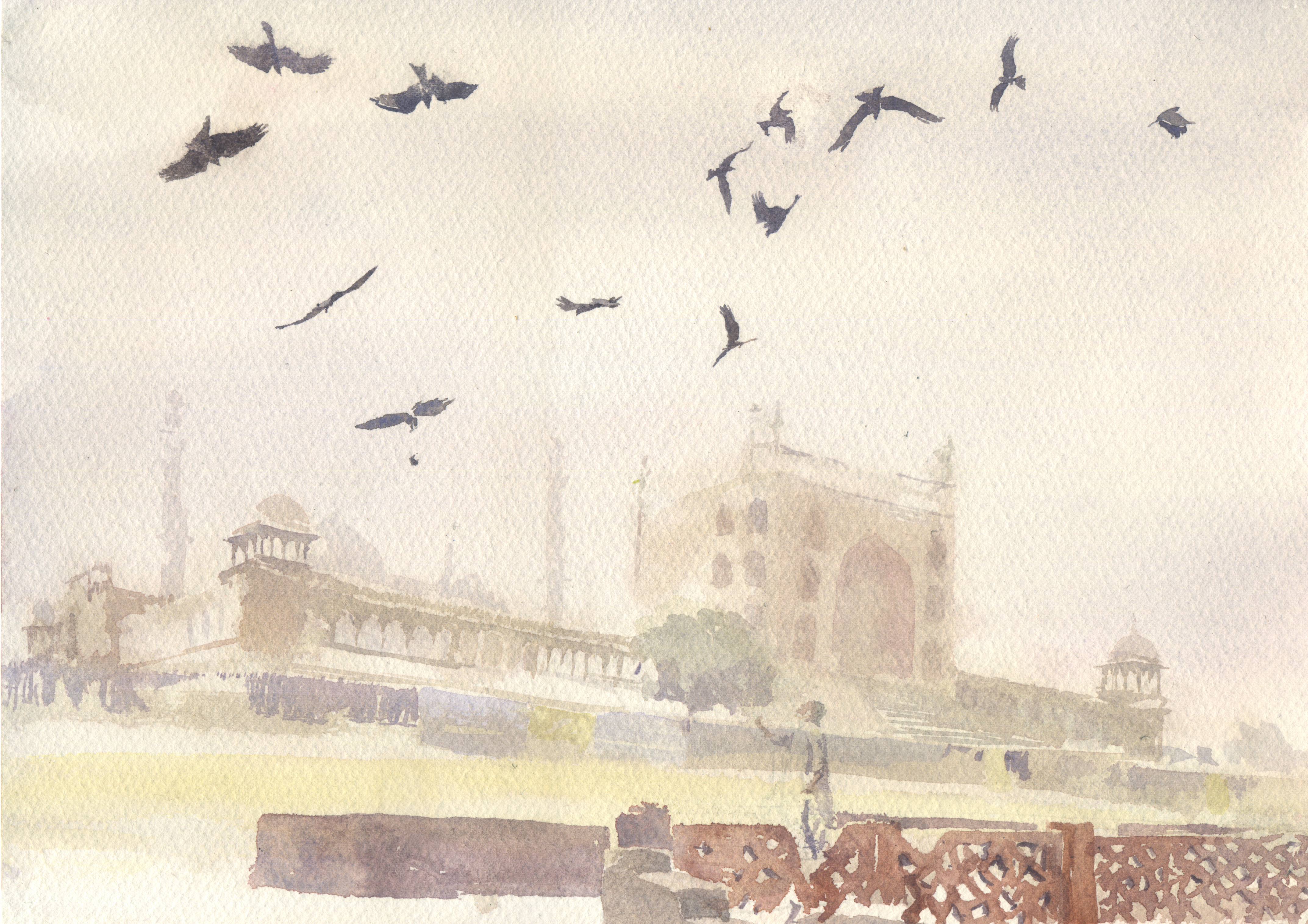 Feeding Black Kites, Old Delhi