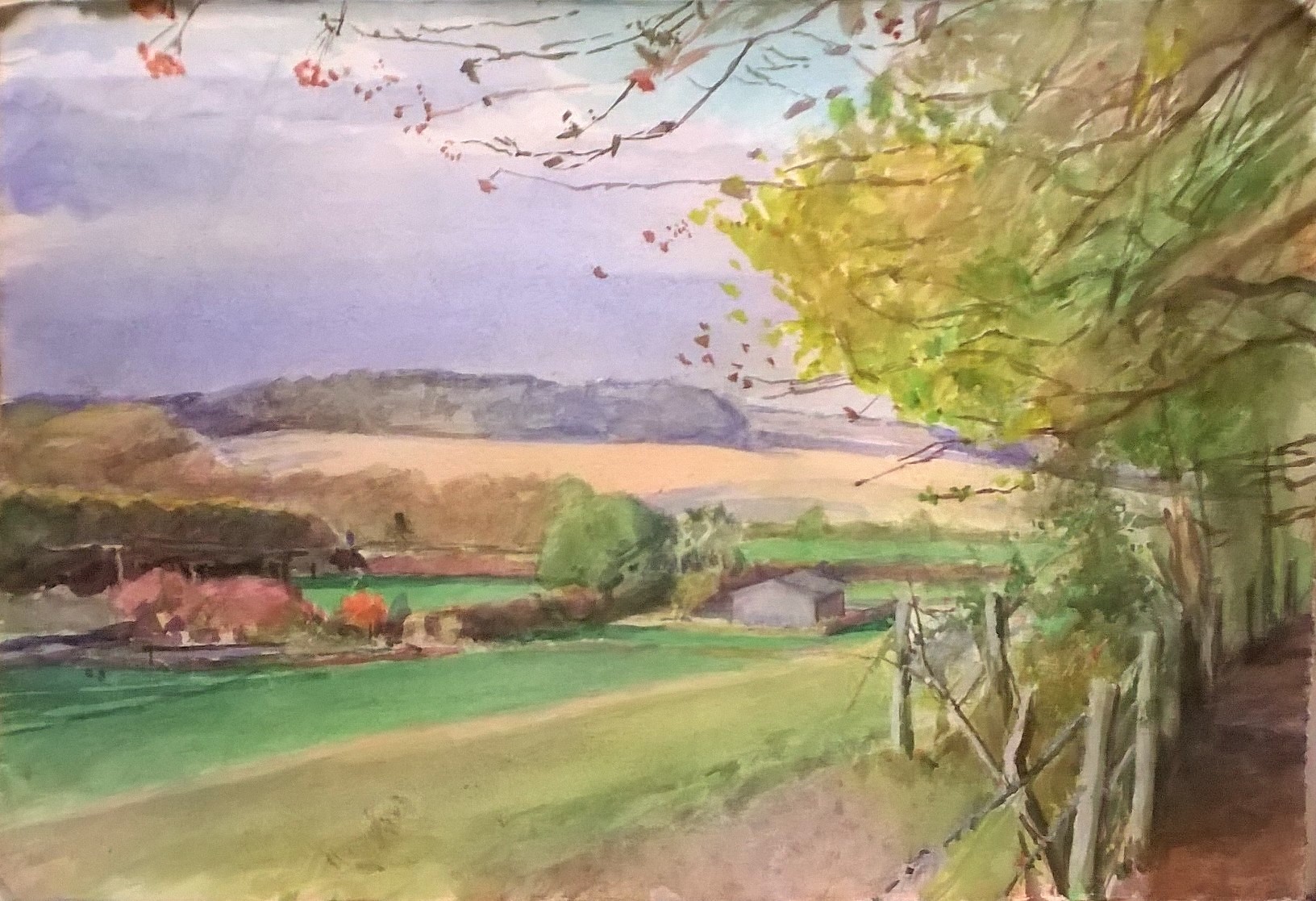 Edge of Ackender Woods, 2018