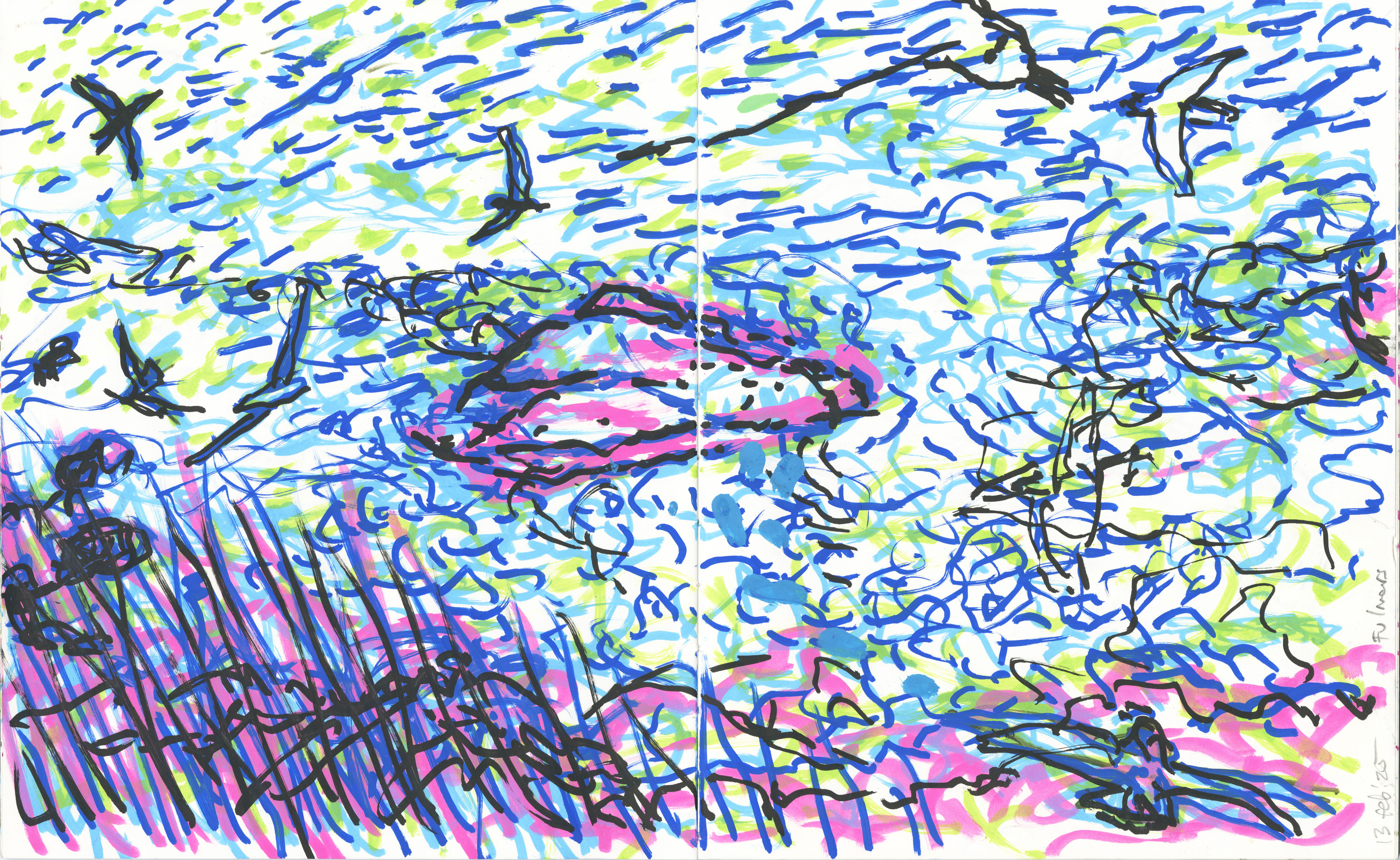 Fulmars above Seacliff harbour