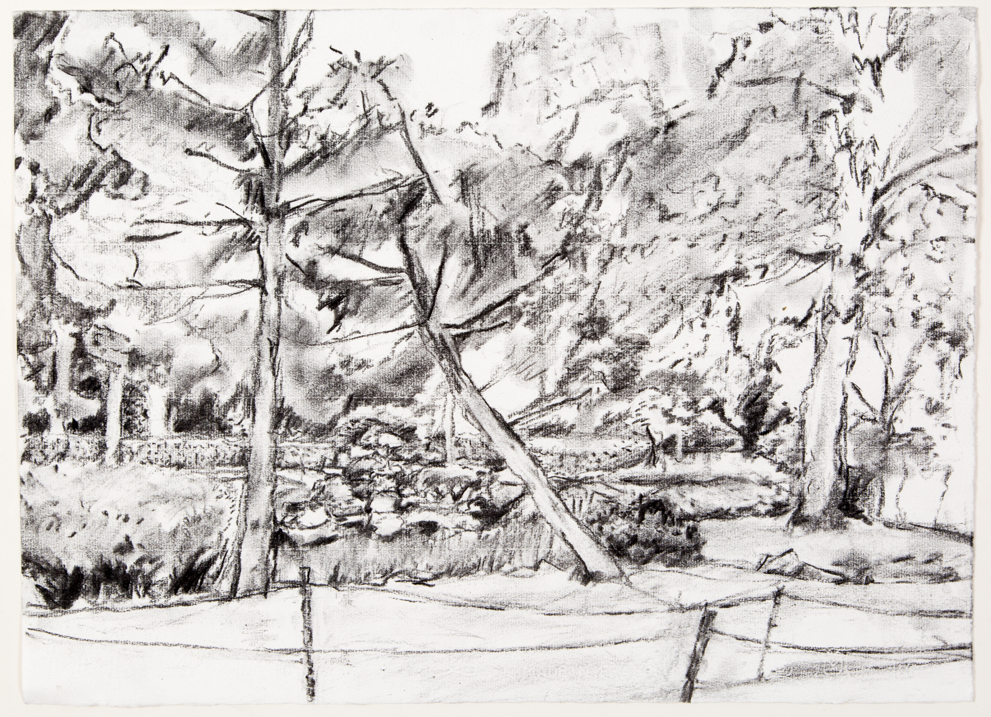 Japanese Garden in London