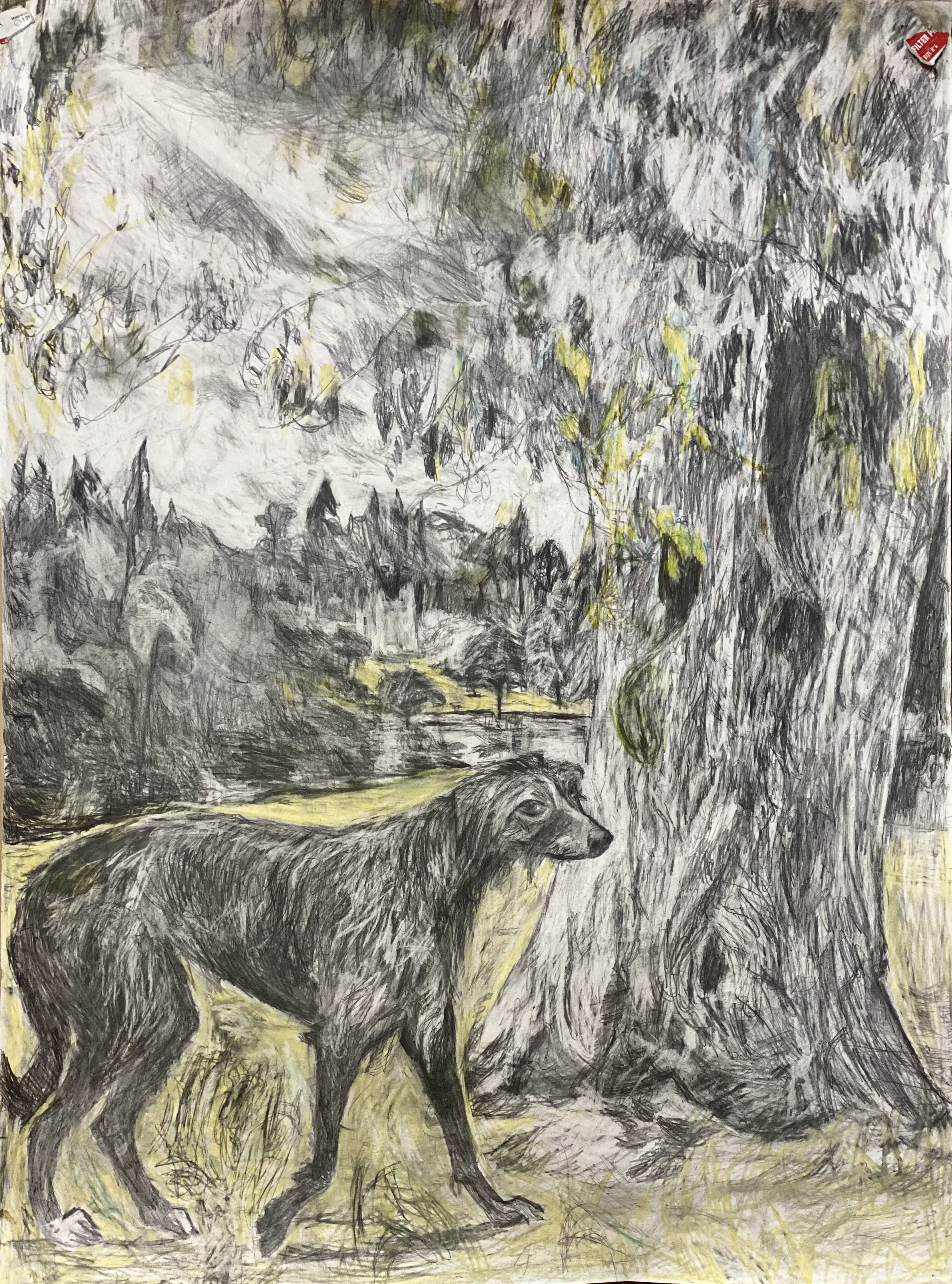 A Cloud Like Concord