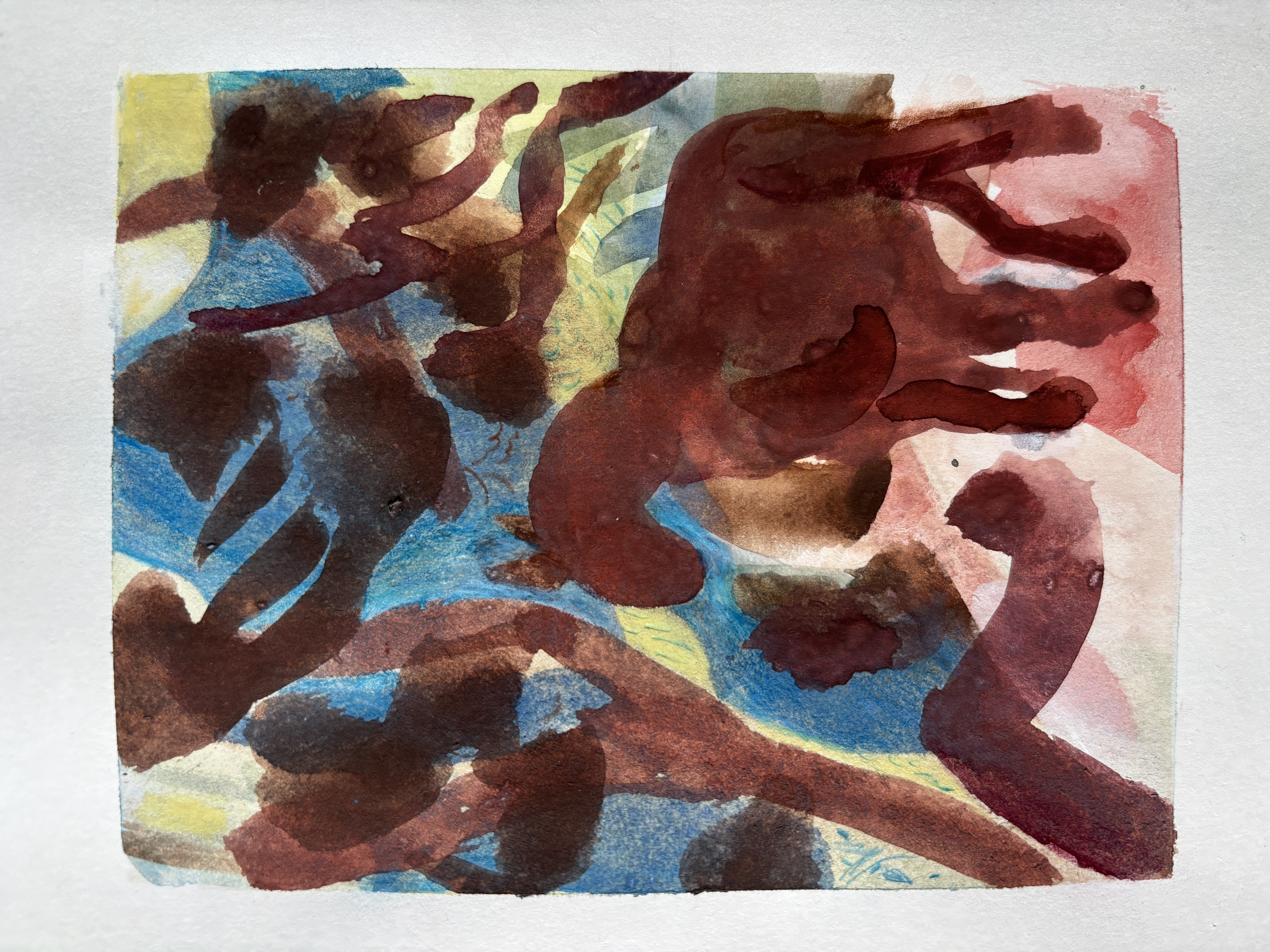 Animal mystery, pony on the path