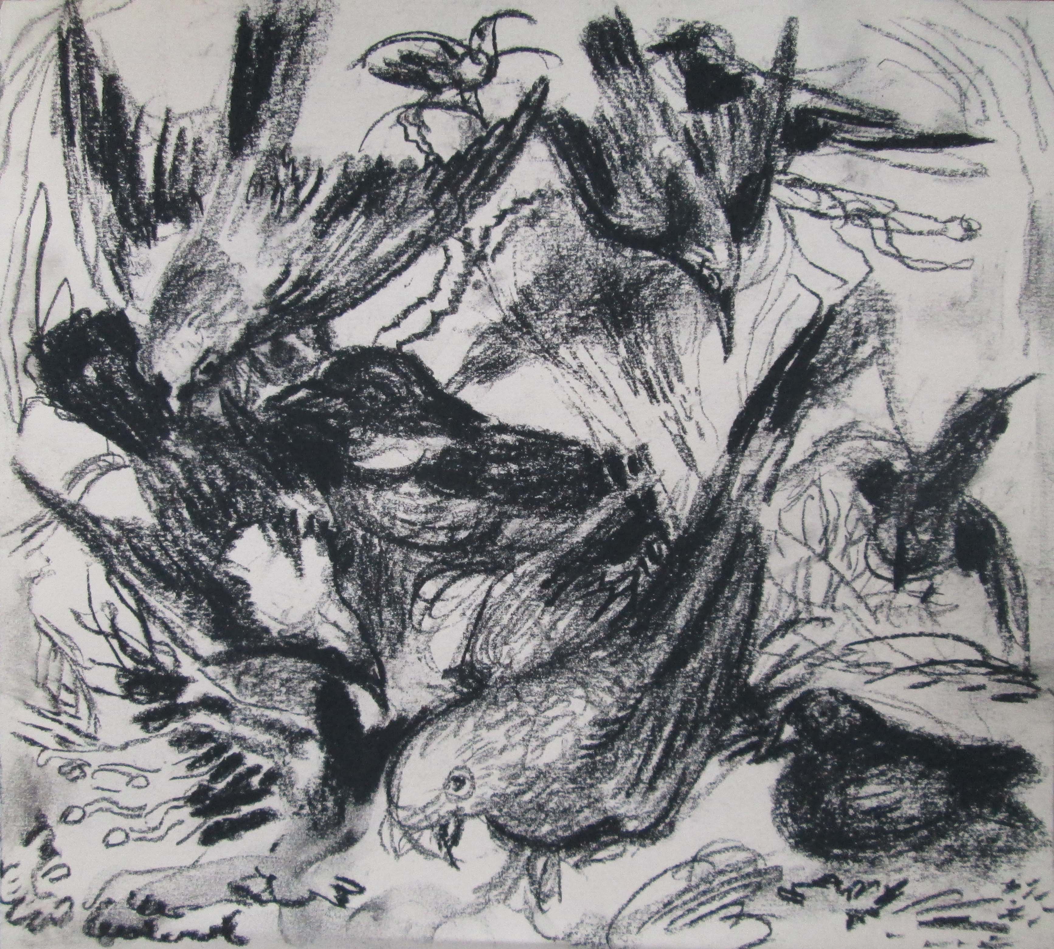 Birds Behind Glass II - Parakeet