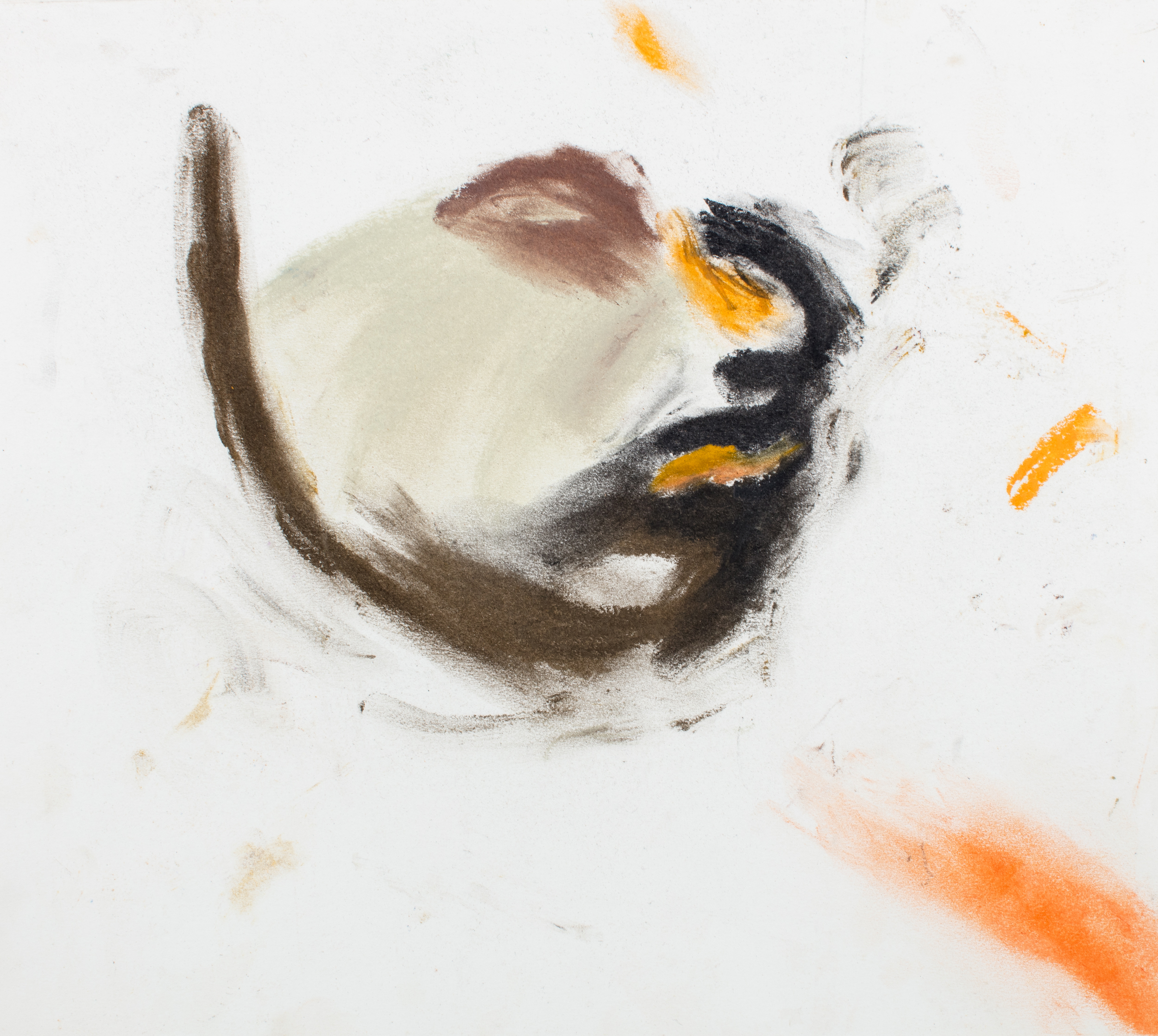 Talking About Places I Never Went