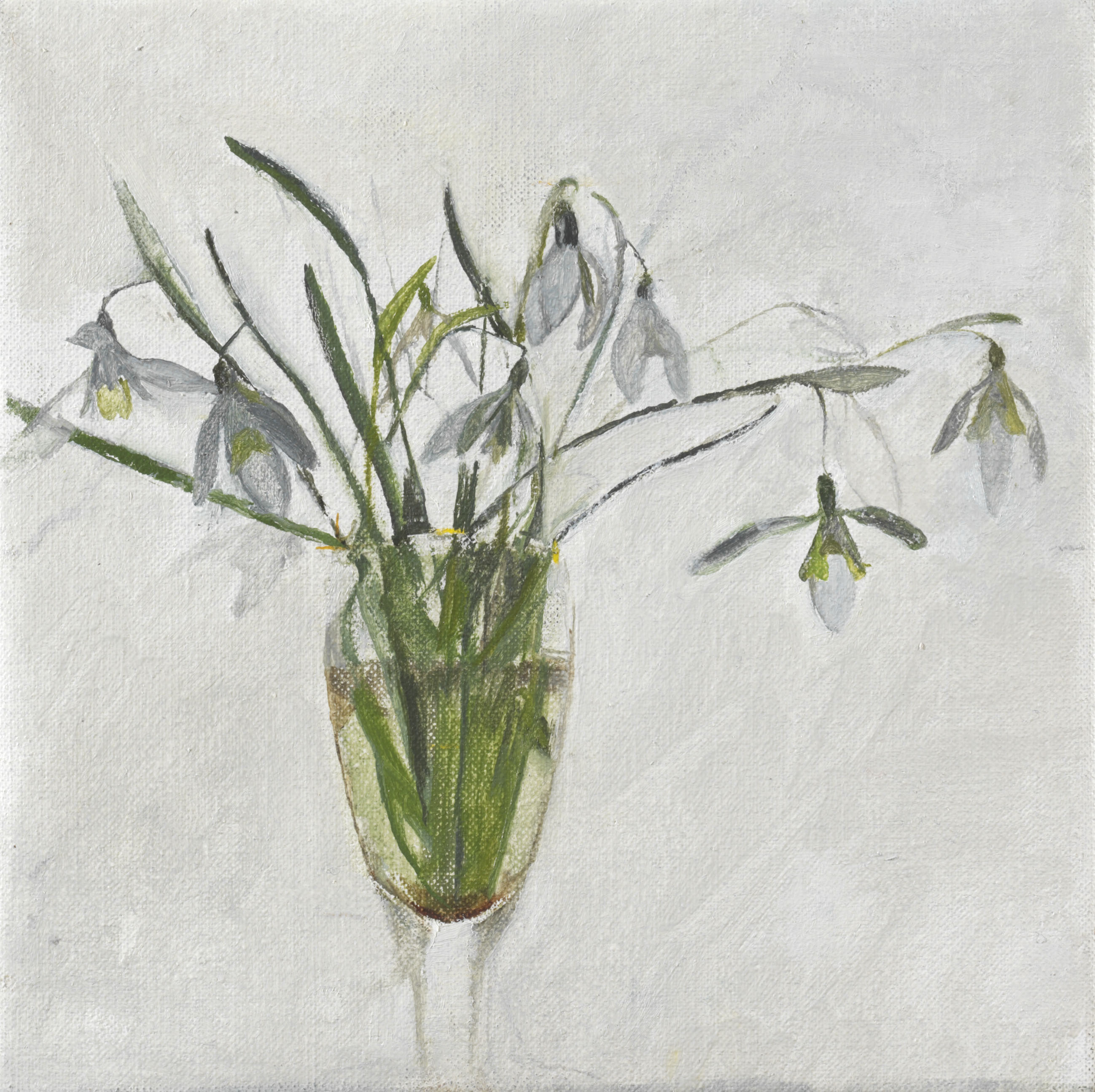 Against the Light, Snowdrops