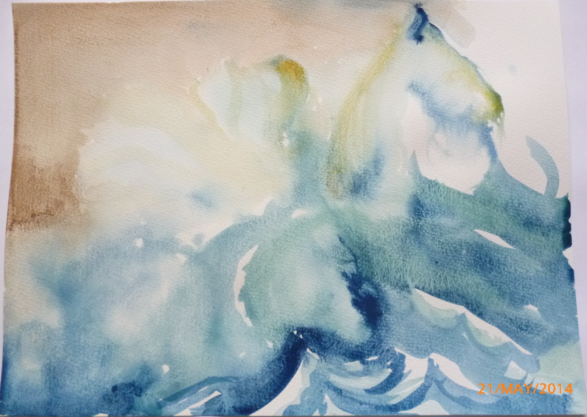 Creatures from the Deep