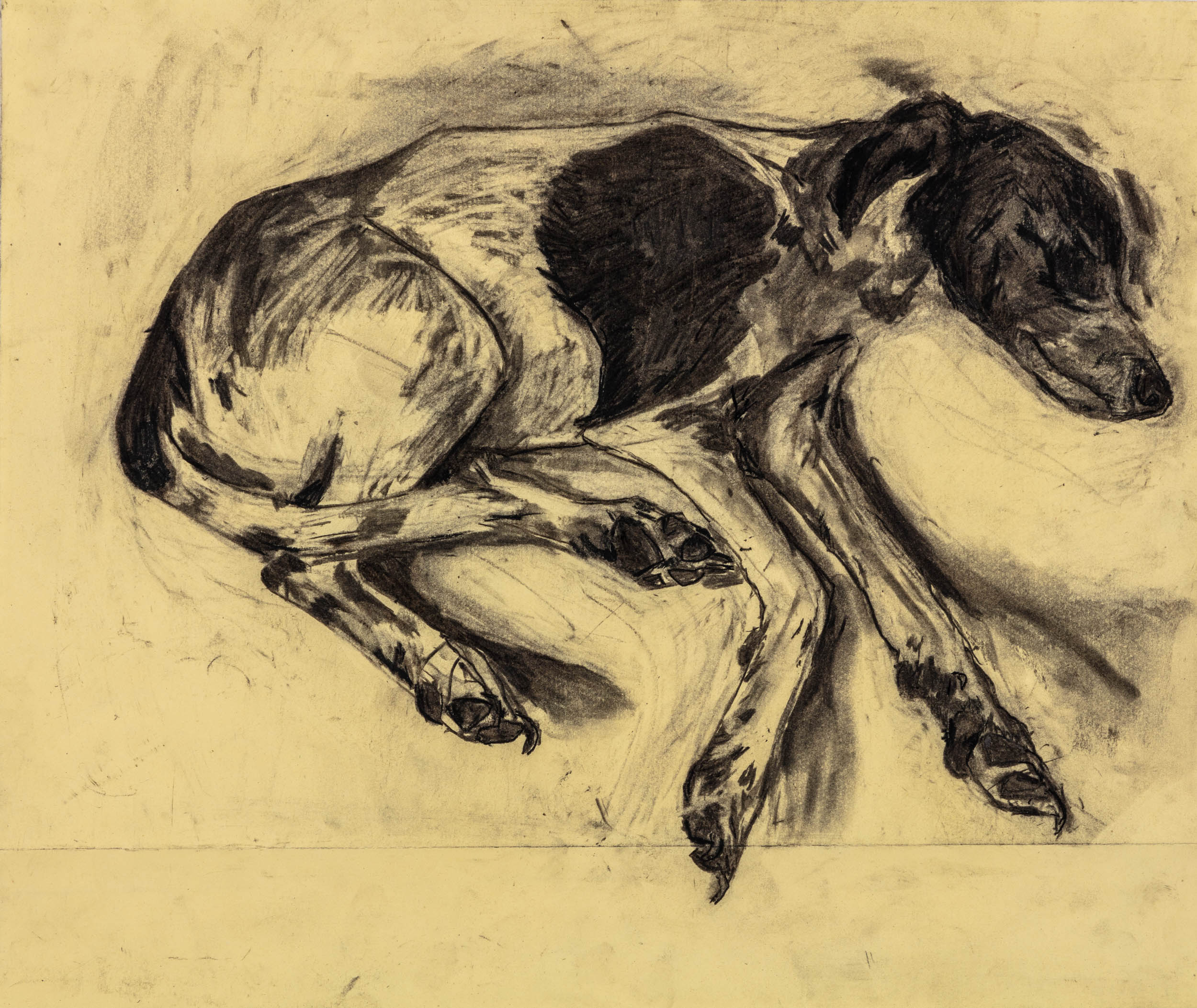 One Week Holiday Course | Sculpting a Canine Image