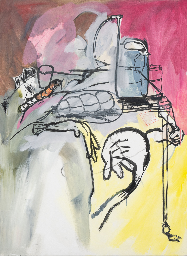 Omentum or Fat Netting