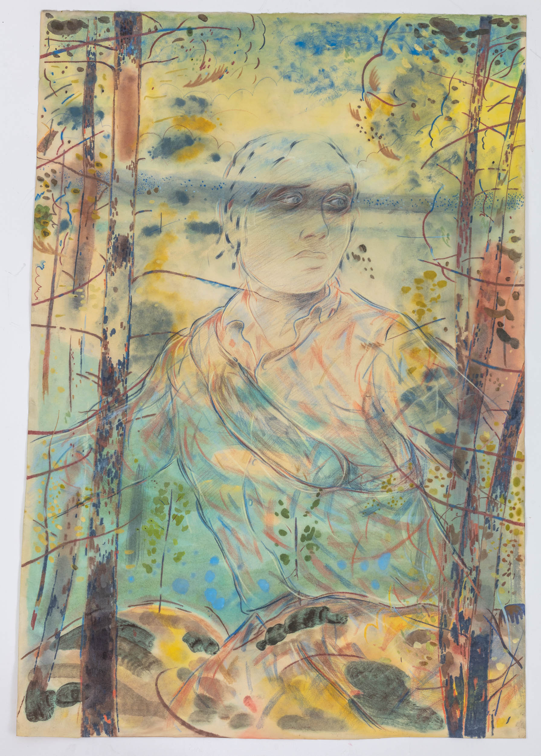 What Did You See in the Woods Today?