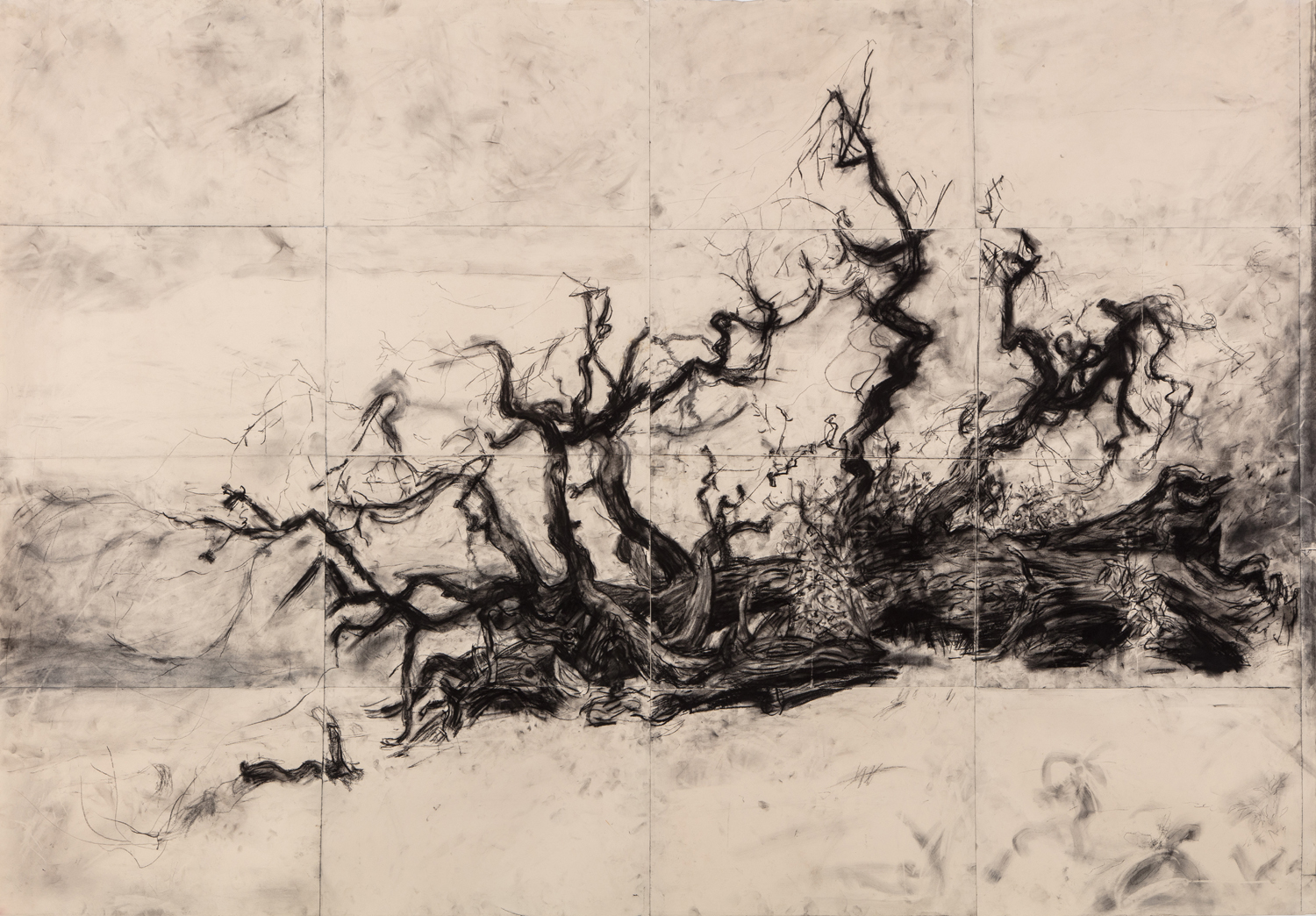 Fallen Tree, Hampstead Heath