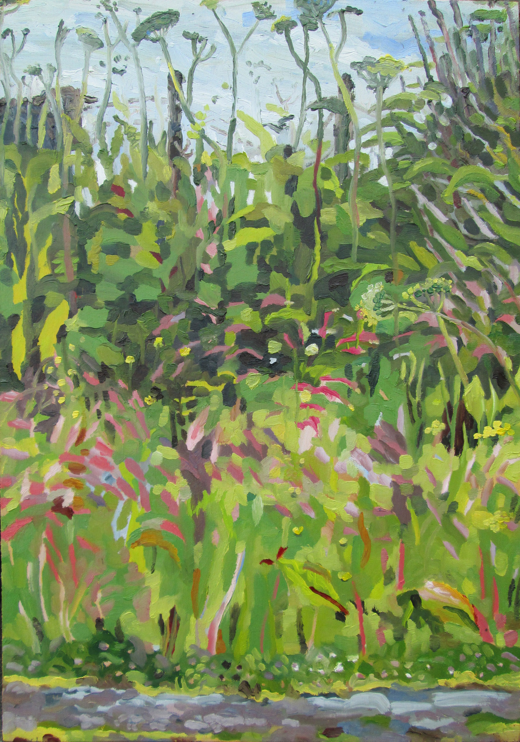 Hedgerow, Fence, Cow