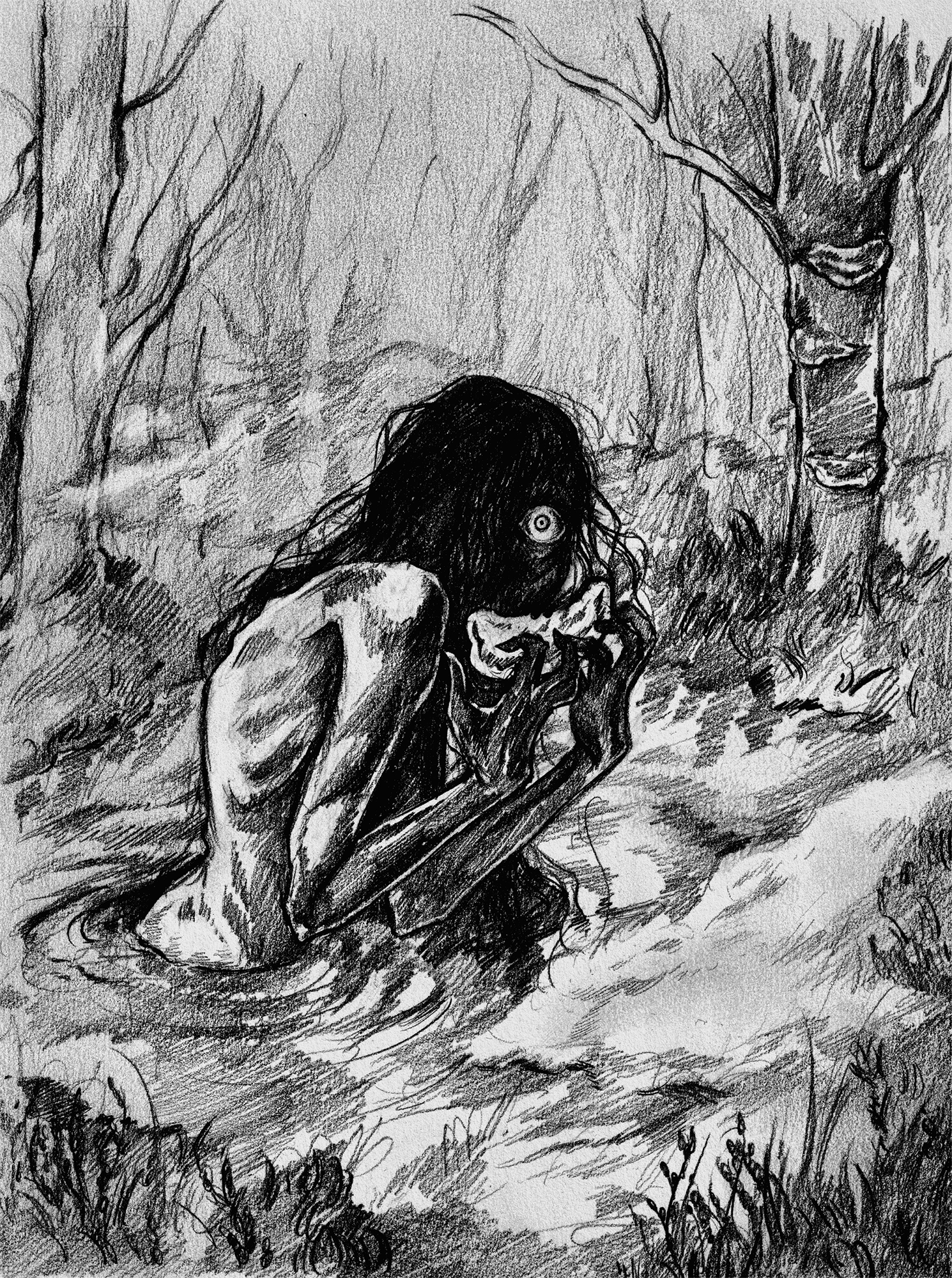 Hen Wrach Cors Fochno