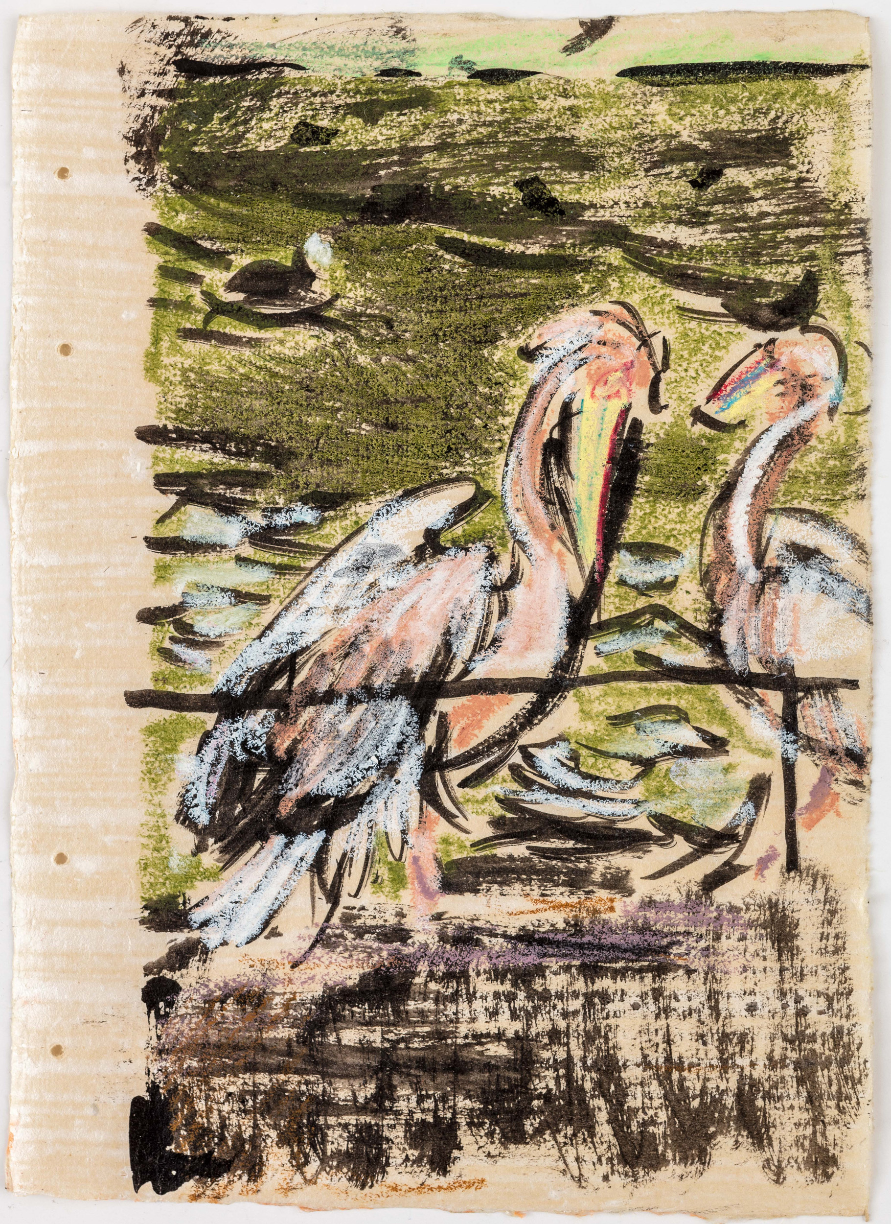 Pelicans St James (III)