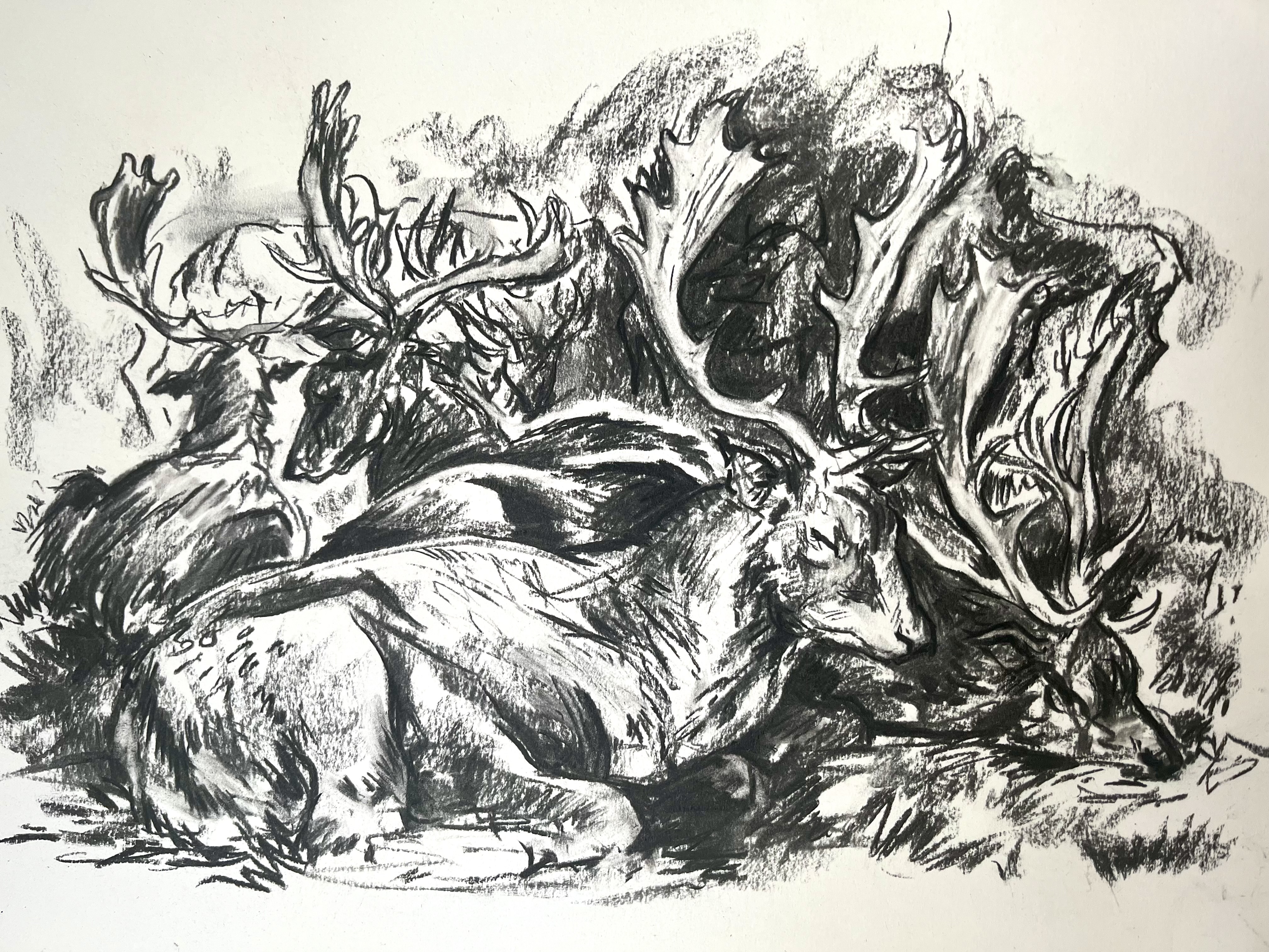 Sleeping Deer, Bushy Park